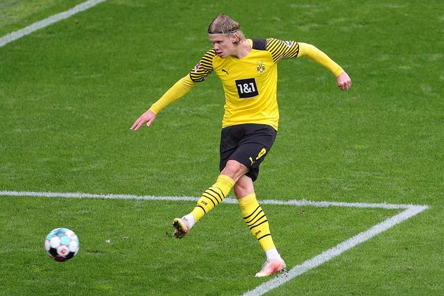 乒乓球不感 乒乓球不感